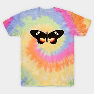 🦋 Himera Longwing (Heliconius himera) Beautiful Butterfly T-Shirt